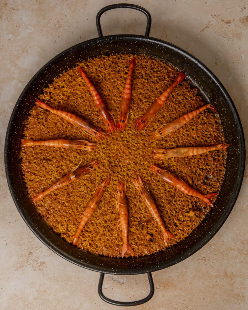 gamba roja demilarroces rebecapatillas web