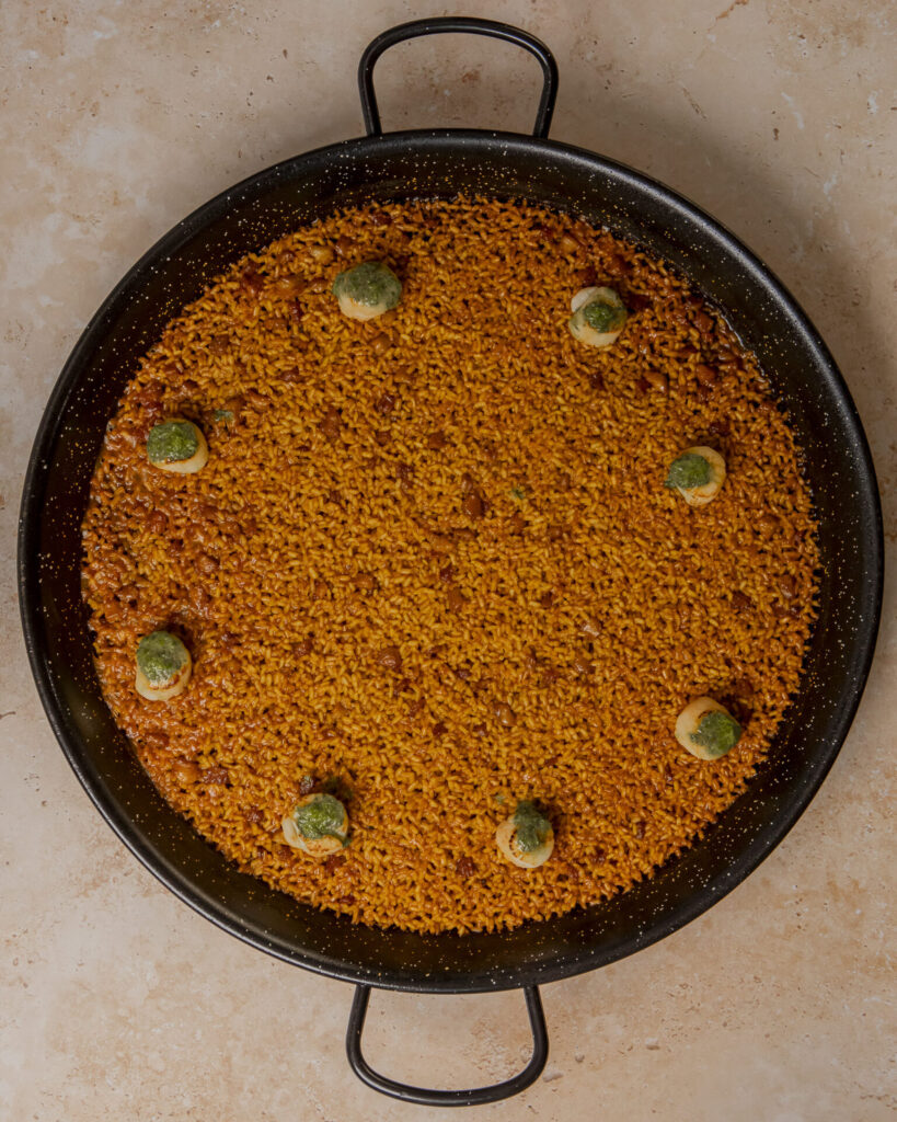 vieira secreto demilarroces rebecapatillas web